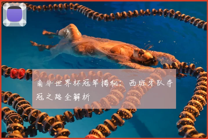 南非世界杯冠军揭秘：西班牙队夺冠之路全解析