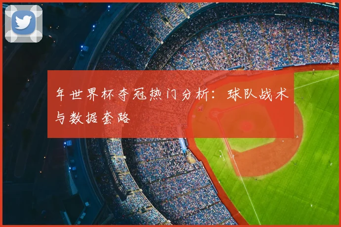 年世界杯夺冠热门分析：球队战术与数据套路
