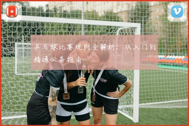 乒乓球比赛规则全解析:从入门到精通必备指南