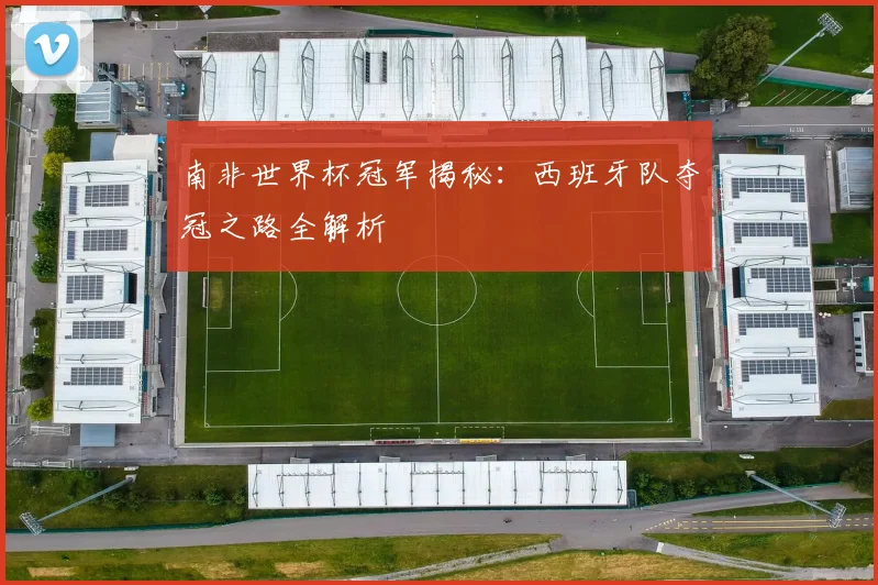 南非世界杯冠军揭秘:西班牙队夺冠之路全解析